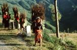Girl Carrying Firewood, Desertification, wood bundle, twigs, Child-Labor, PDCV01P06_03