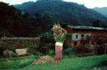Woman, deforestation, desertification, Araniko Highway, PDCV01P06_10