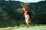 Woman carrying heavy load, barefoot, barefeet, deforestation, desertification, PDCV01P07_10