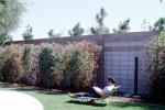 Backyard, Lounge Chair, rock garden, wall, man, male, reading, relaxing