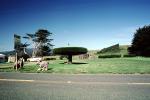 Manicured Bushes, Trees, Tomales, Marin County, California, PDEV01P05_11