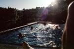 swimming pool, Mill Valley, California, PDEV01P05_16