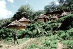 Village, Thatched Roof House, Home, Grass Roofs, Building, roundhouse, house, Sof Omar, Holy Caves, Sod, PDEV01P07_06