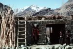 Ladder, Rock house, Thatched Roof House, Home, Grass Roof, Building, Woman, Himalayas, kurbuchan-A, Khalsi Tehsil, Leh Ladakh District, Jammu & Kashmir State , Sod, PDEV01P07_13