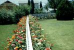 Divided Garden, Flowers, Backyards, Picket Fence, lawn, PDEV01P08_12