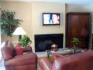 Flat Screen TV, Fireplace, Sofa, Coffee Table, Plants, Rug, PDFD01_006