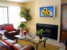 Flat Screen TV, Fireplace, Sofa, Coffee Table, Plants, Rug, PDFD01_007