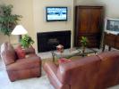 Flat Screen TV, Fireplace, Sofa, Coffee Table, Plants, Rug, PDFD01_008