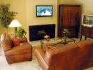 Flat Screen TV, Fireplace, Sofa, Coffee Table, Plants, Rug, PDFD01_009