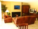 Flat Screen TV, Fireplace, Sofa, Coffee Table, Plants, Rug, PDFD01_010