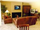 Flat Screen TV, Fireplace, Sofa, Coffee Table, Plants, Rug, PDFD01_011