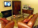 Flat Screen TV, Fireplace, Sofa, Coffee Table, Plants, Rug, PDFD01_012