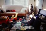 Sofa, cat, toys, books, rug
