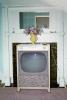 Television, TV, flower vase