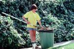 Garden, Rake, raking, boy, teen, tween, Pacific Palisades, California, 1970s