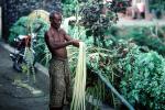 Making a Penjor, Bamboo, man, PDGV01P01_08