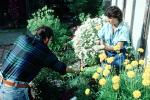 Couple working in the garden, Woman, Man, PDGV01P01_14