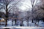 backyard, trees, snow, PDGV01P07_09