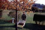 Autumn, Backyard, Yardwork, Man, PDGV01P07_16