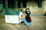 Painting a doghouse, backyard, PDGV01P08_17