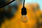 Light Bulb, PDID01_024