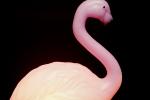 Pink Flamingo light, PDIV01P06_09