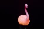 Pink Flamingo light, PDIV01P06_10