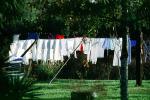 Drying Line, Clothes Line, PDLV01P03_16