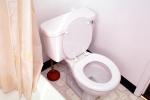 toilet, WC, bowl, seat, PDRV01P04_12