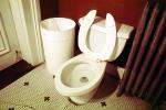 Toilet, Porcelin, PDRV01P11_07