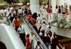 escalator, Eatons, Mall, PDSV02P08_01