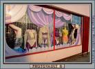 Underwear, Panty, Store, Window-Display, Tacky, Hollywood, PDSV03P10_14