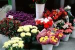 Flower Stand, floral, PDVV01P03_05