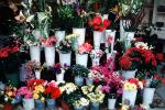Flower Stand, floral, PDVV01P04_05