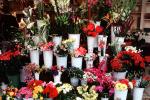 Flower Stand, floral, PDVV01P04_06