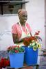 Woman Vending Flowers, Pail, Smiles, apron, PDVV02P05_05