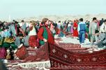 Rug, Carpet, Woman, Women, Rug Merchant, Tashkent Turkmenistan, PDVV02P07_13