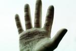 hand, palm reader, PDZV01P03_05