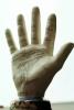 hand, palm reader, PDZV01P03_06