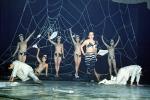 Strip Tease, Stripper, Show, Night Club, Sasebo Saga Japan, 1950s