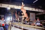 Pole Dancer, Stripper, Thong, Night Club, gogo, go-go dancer, show, 1950s