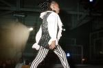 zebra pants, spotlight, spot light