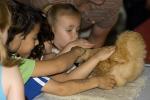 Childrens Petting Zoo