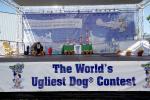 World's Ugliest Dog Contest, Sonoma-Marin Fair, 21/06/2019, PFFD02_062