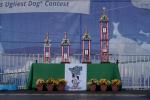 World's Ugliest Dog Contest, Sonoma-Marin Fair, 21/06/2019, PFFD02_063