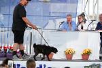 Judges, Judging Table, World's Ugliest Dog Contest, Sonoma-Marin Fair, 21/06/2019, PFFD02_096
