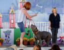 World's Ugliest Dog Contest, Sonoma-Marin Fair, 21/06/2019, PFFD02_151