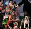 Howling, Baying, smiles, World's Ugliest Dog Contest, Sonoma-Marin Fair, 21/06/2019