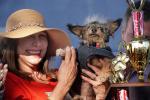 1st Place Winner, World's Ugliest Dog Contest, Sonoma-Marin Fair, 21/06/2019, PFFD02_181