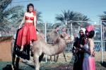 woman riding  camel, 1960s